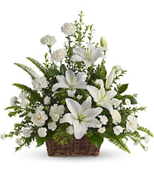 Peaceful White Floral Basket from Philips' Flower & Gift Shop